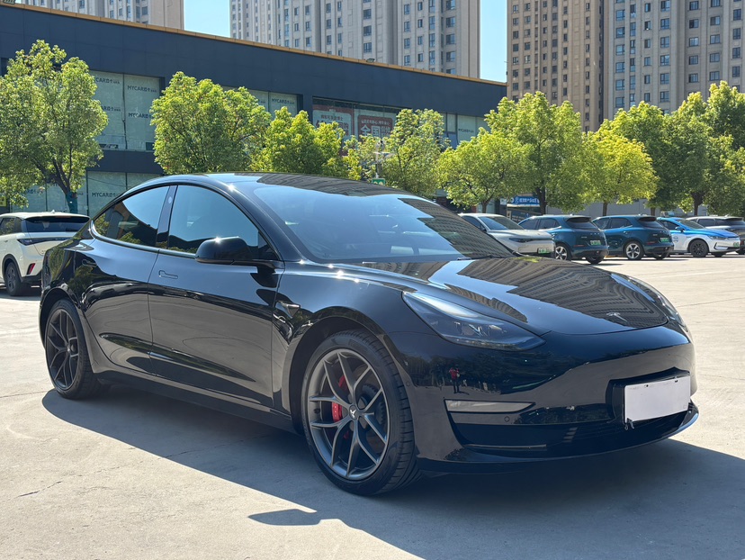 Tesla Model 3 2022 #3 Tesla Model 3 2022 car image #3