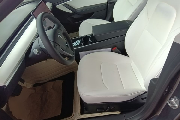 Tesla Model 3 2020 car image #15