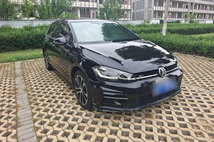 Volkswagen Golf 2019 #26 Volkswagen Golf 2019 car image #26