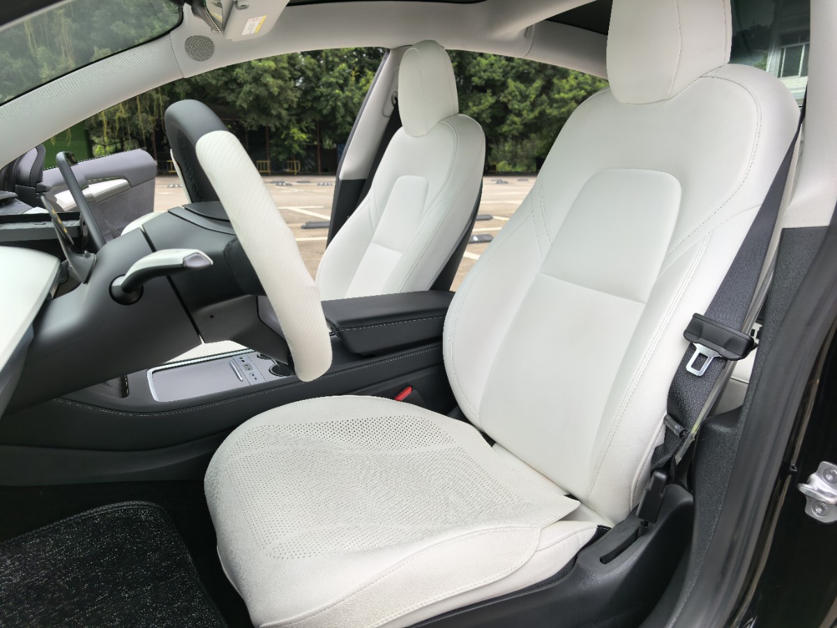 Tesla Model 3 2021 #5 Tesla Model 3 2021 car image #5