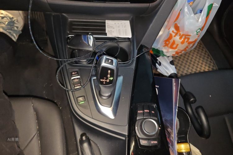 BMW 3 Series 2016 car image #16
