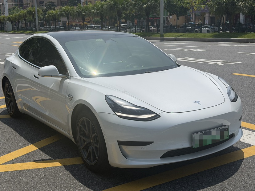 Tesla Model 3 2020 #3 Tesla Model 3 2020 car image #3