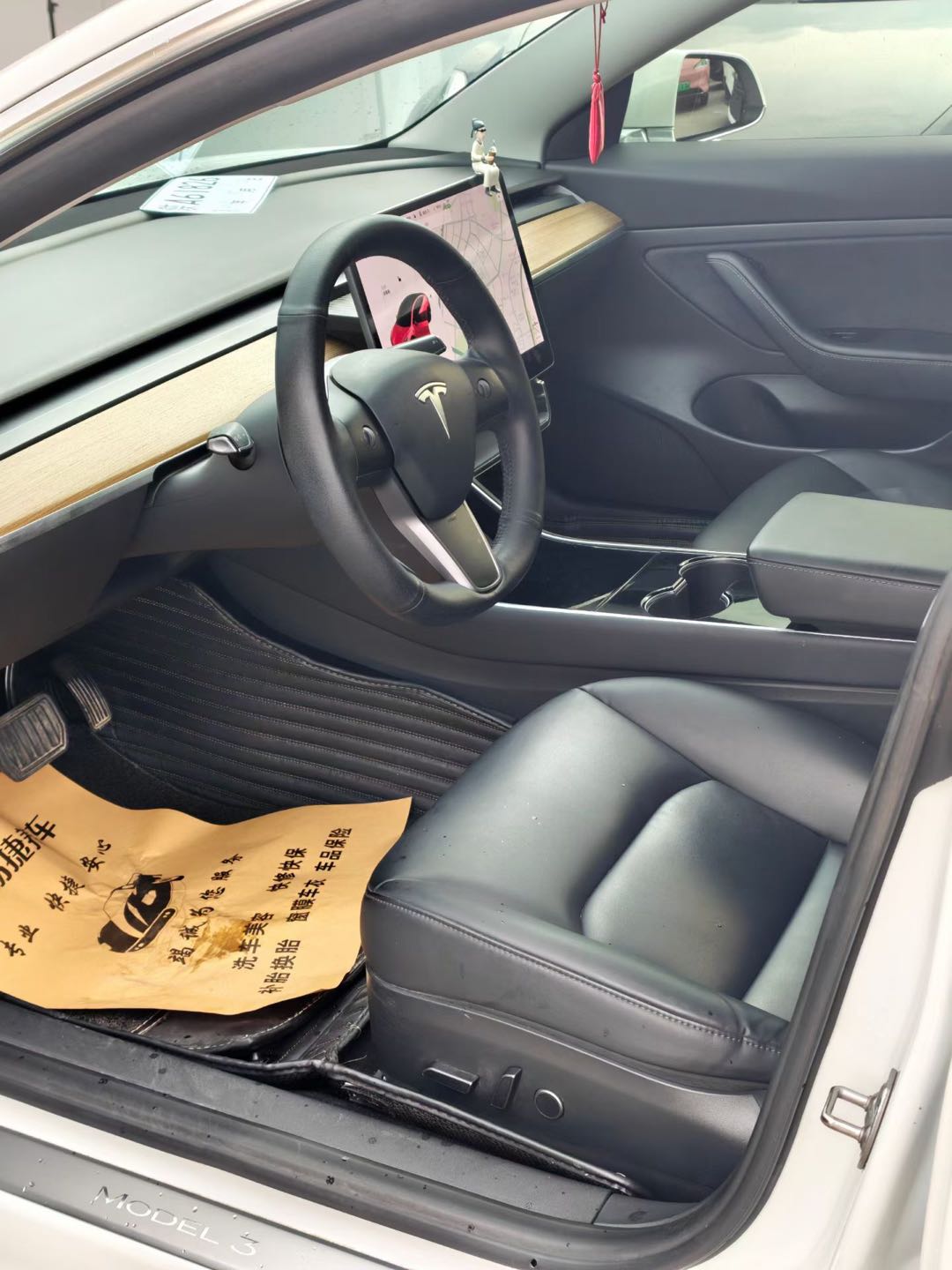 Tesla Model 3 2020 car image #6