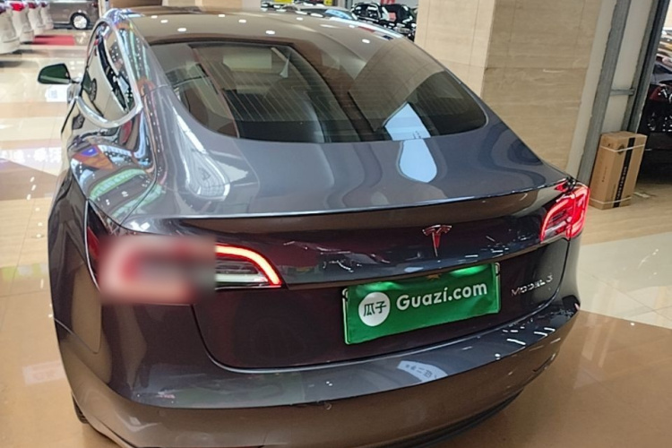 Tesla Model 3 2020 car image #6