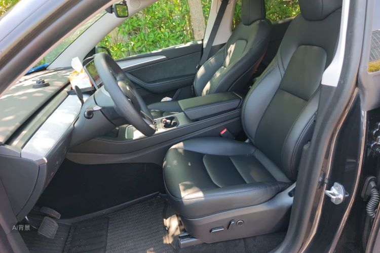 Tesla Model Y 2024 car image #17