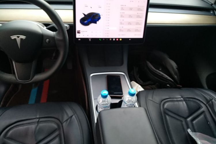 Tesla Model Y 2021 car image #14