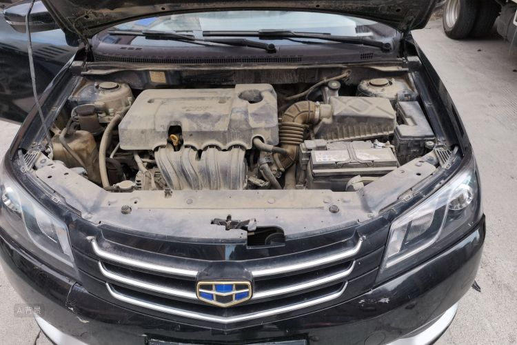 GEELY Emgrand 2016 car image #22