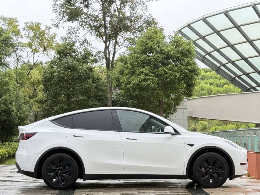 Tesla Model Y 2021 car image #4