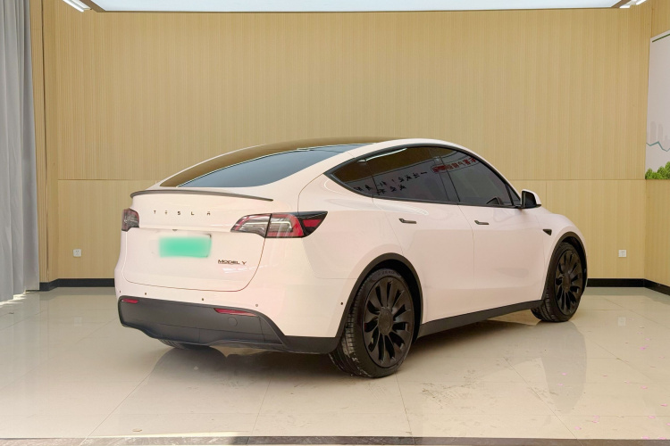 Tesla Model Y 2021 car image #5