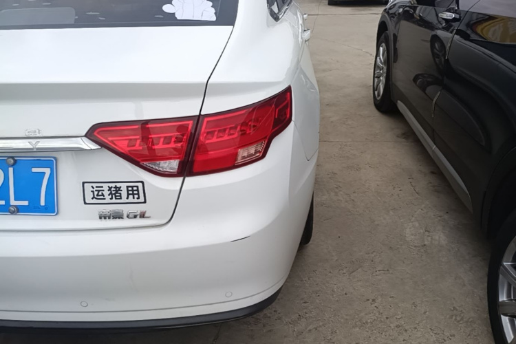 GEELY Emgrand GL 2020 car image #8