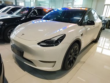 Tesla Model Y 2021 Tesla Model Y 2021 car image