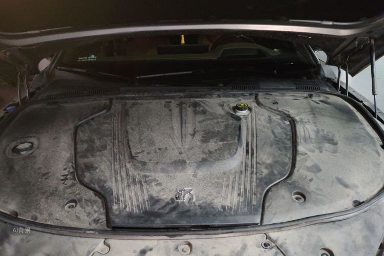 BYD Han 2022 car image #22