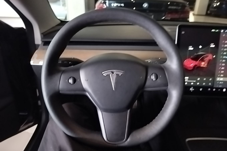 Tesla Model 3 2023 car image #11