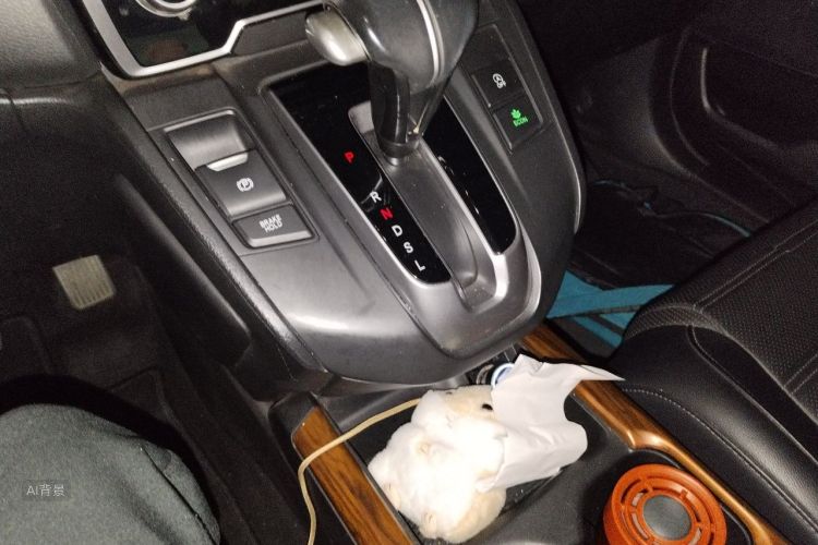 Honda CR-V 2019 car image #16