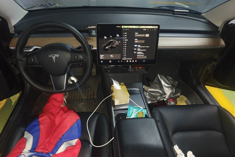 Tesla Model 3 2022 car image #7