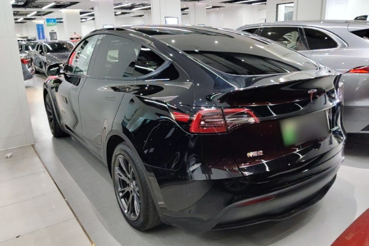 Tesla Model Y 2023 car image #5