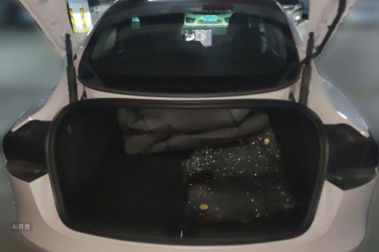 Tesla Model 3 2025 car image #21