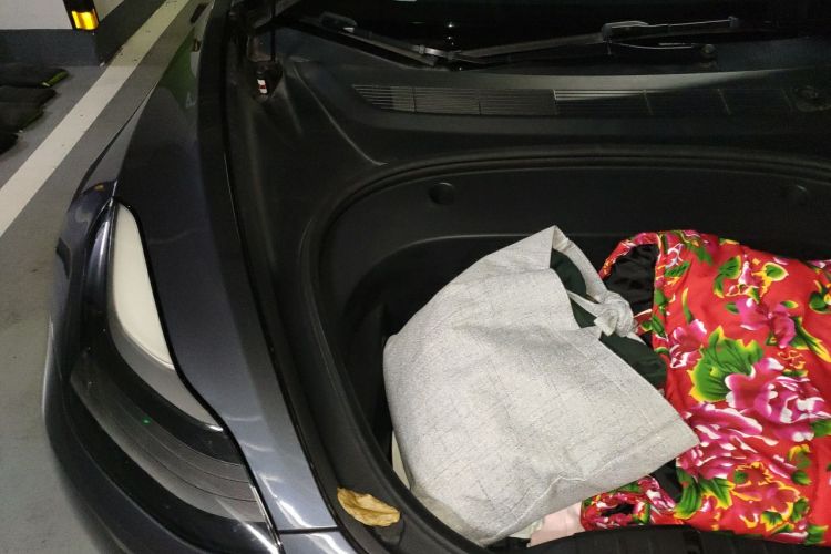 Tesla Model 3 2021 #24 Tesla Model 3 2021 car image #24