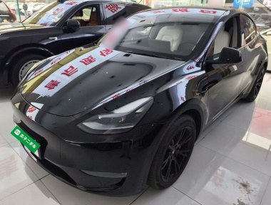 Tesla Model Y 2022 Tesla Model Y 2022 car image