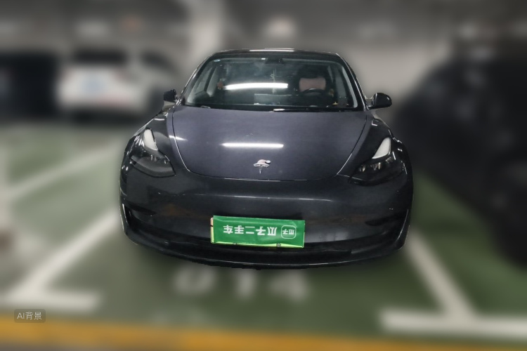 Tesla Model 3 2021 #3 Tesla Model 3 2021 car image #3