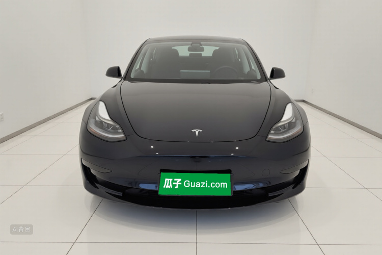 Tesla Model 3 2021 #3 Tesla Model 3 2021 car image #3