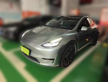 Tesla Model Y 2022 car image 