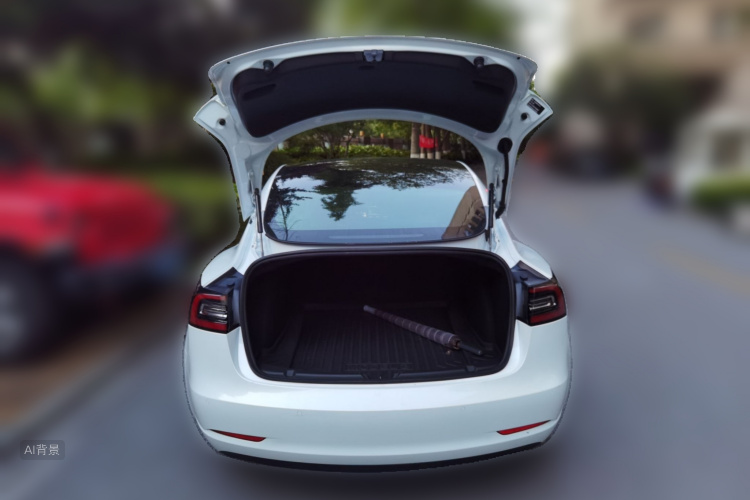 Tesla Model 3 2020 #21 Tesla Model 3 2020 car image #21