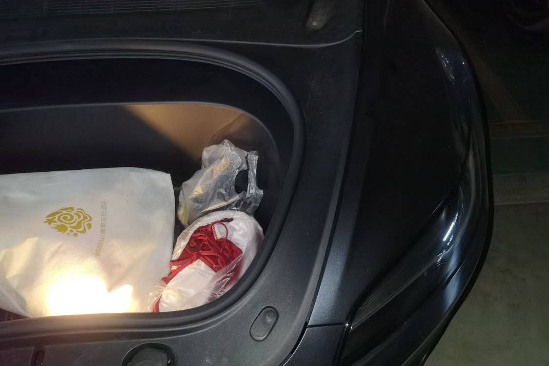 Tesla Model 3 2025 car image #12