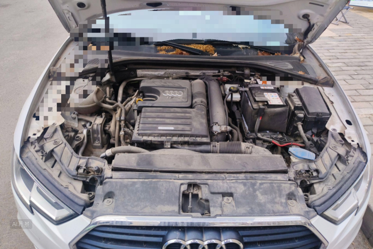 奥迪 奥迪A3 2018 汽车图片 #22