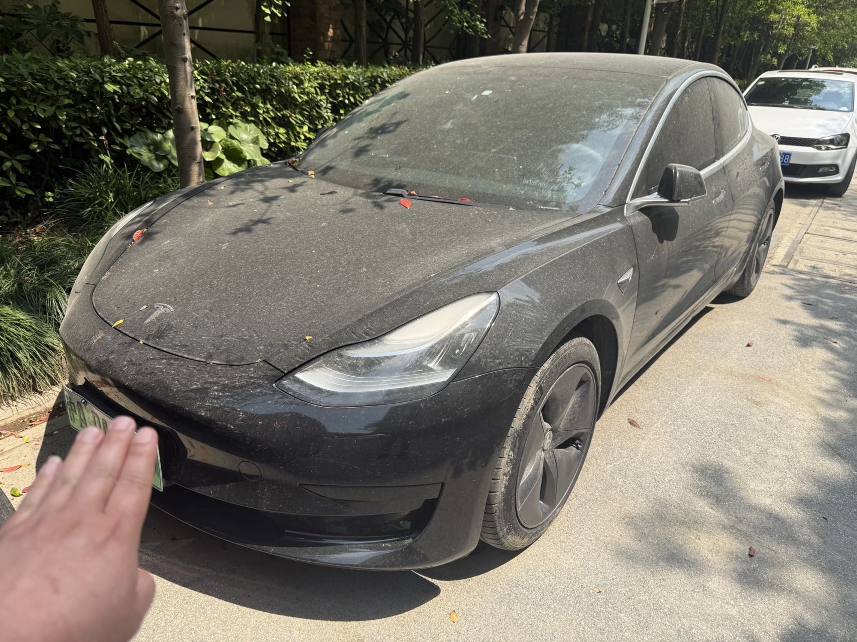 Tesla Model 3 2020 Tesla Model 3 2020 car image