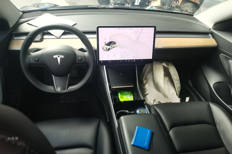 Tesla Model 3 2020 car image #11