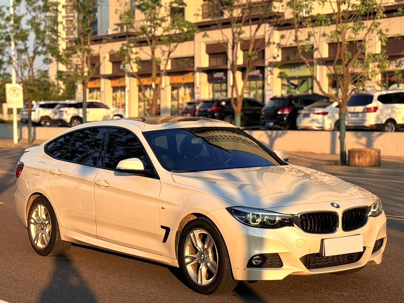 BMW 3 Series GT 2019 #3 BMW 3 Series GT 2019 car image #3