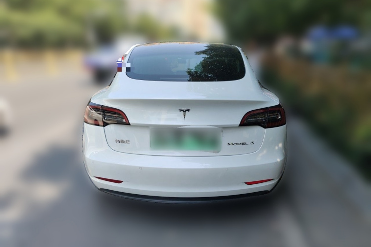 Tesla Model 3 2021 #4 Tesla Model 3 2021 car image #4