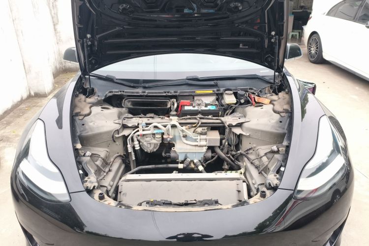 Tesla Model 3 2020 car image #20