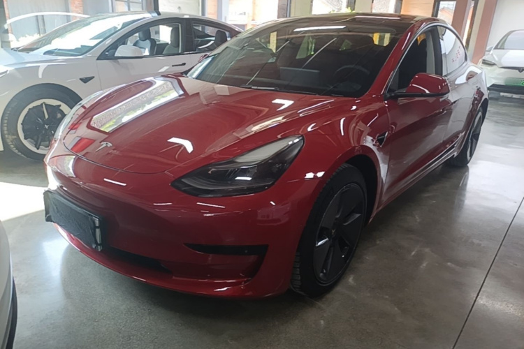 Tesla Model 3 2021 #2 Tesla Model 3 2021 car image #2