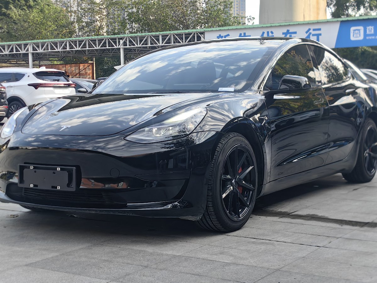 Tesla Model 3 2021 Tesla Model 3 2021 car image