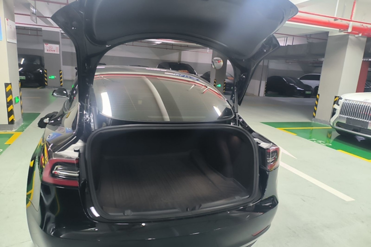 Tesla Model 3 2022 #19 Tesla Model 3 2022 car image #19