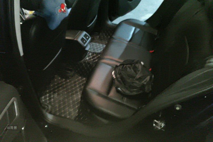 Volkswagen Golf 2020 car image #19