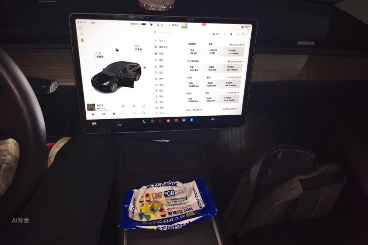 Tesla Model Y 2021 #15 Tesla Model Y 2021 car image #15