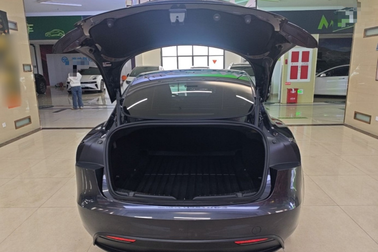 Tesla Model 3 2024 #19 Tesla Model 3 2024 car image #19