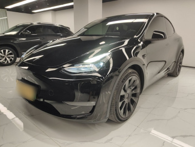 Tesla Model Y 2021 Tesla Model Y 2021 car image