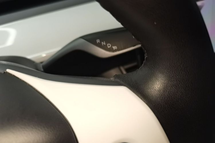 Tesla Model 3 2020 car image #14