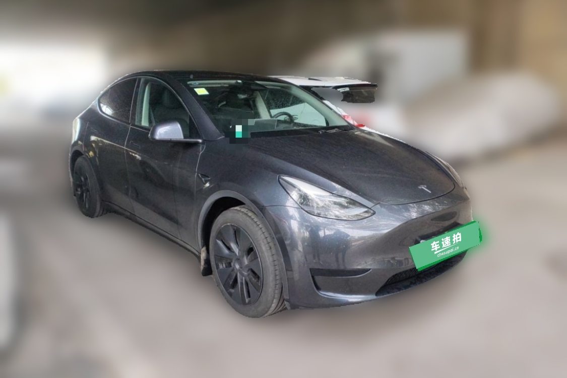 Tesla Model Y 2024 #2 Tesla Model Y 2024 صورة سيارة #2
