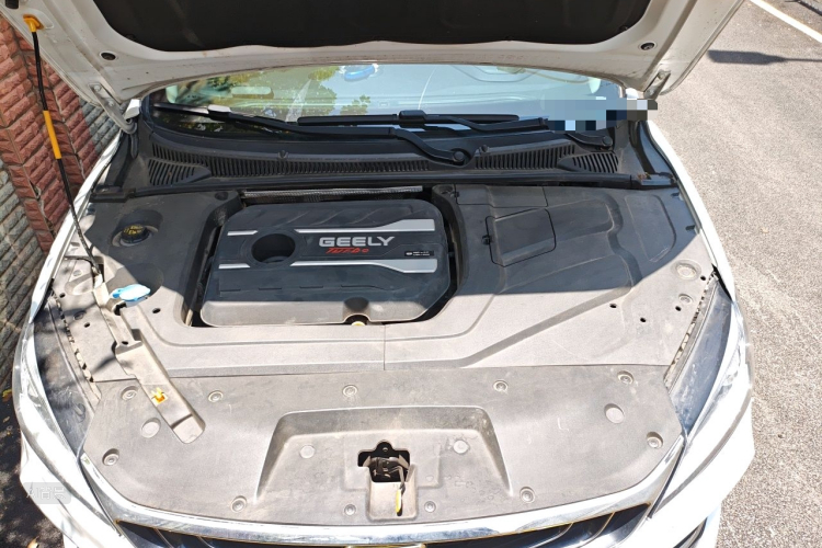 GEELY Binray 2019 #22 GEELY Binray 2019 immagine di auto #22