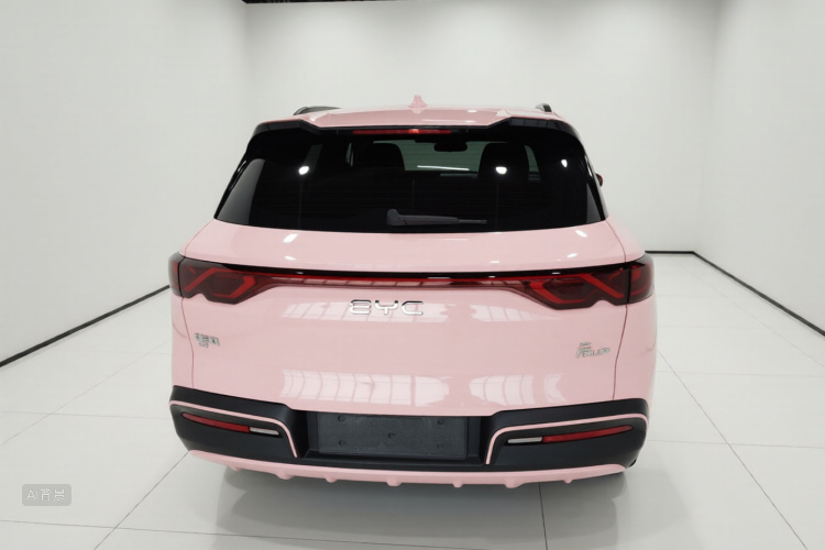 BYD YuanUP 2024 #6 BYD YuanUP 2024 car image #6