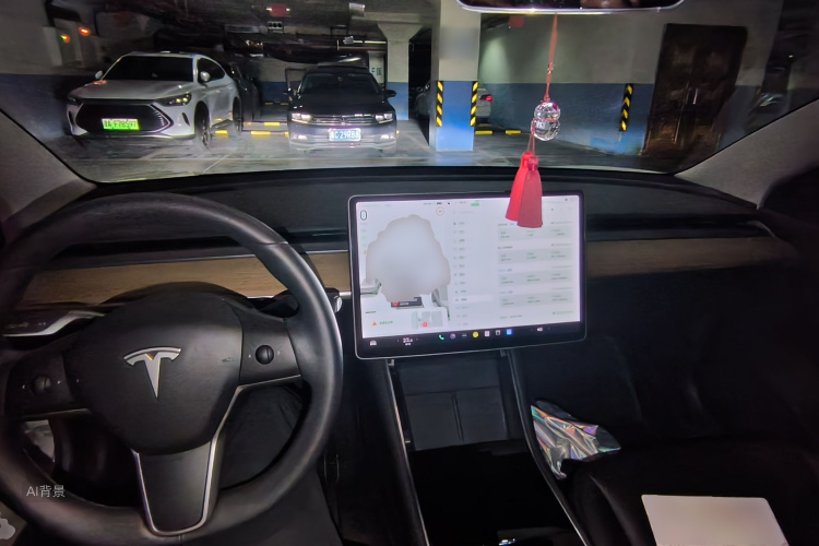 Tesla Model 3 2020 car image #11