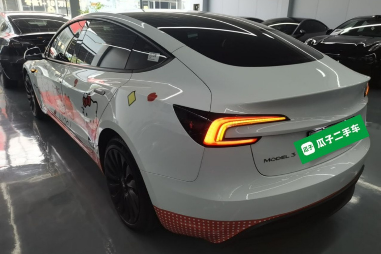 Tesla Model 3 2024 car image #7