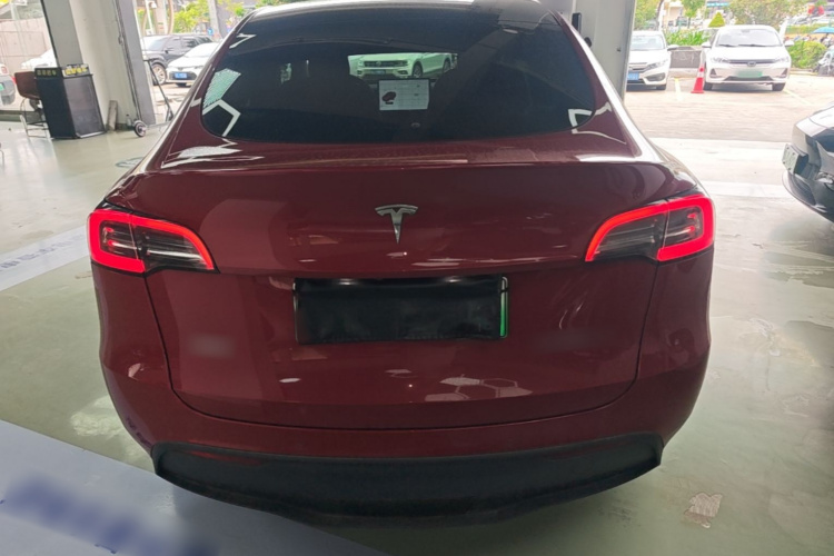 Tesla Model Y 2021 car image #6