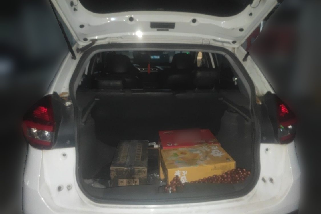 Chery Tiggo 3x 2018 car image #8