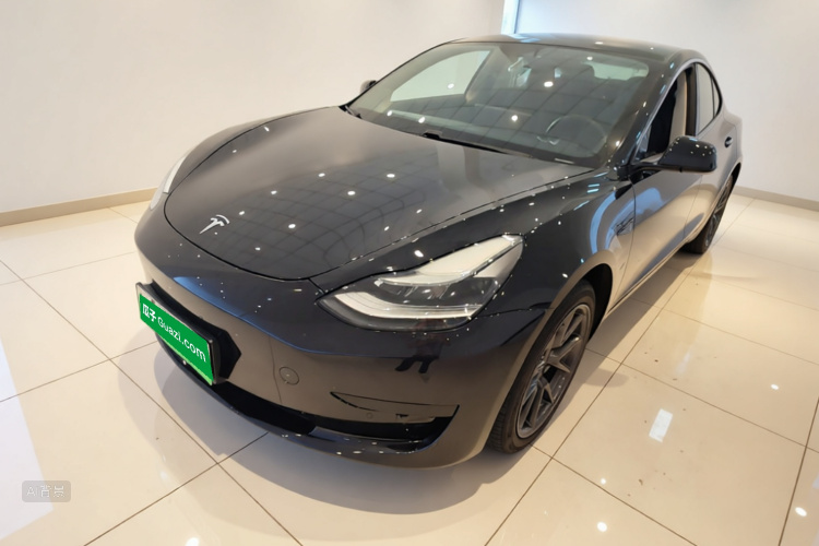 Tesla Model 3 2021 #2 Tesla Model 3 2021 car image #2